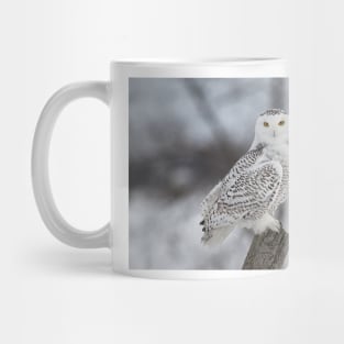 Snowy Owl Mug